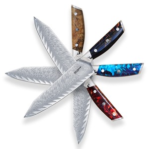 Sada kuchařských nožů Dellinger RESIN FUTURE Blue 2+1 zdarma - šéfkuchařský nůž Dellinger Resin Chef. Přehled barevných alternativ.